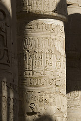 Image showing Hieroglyphics on the wall