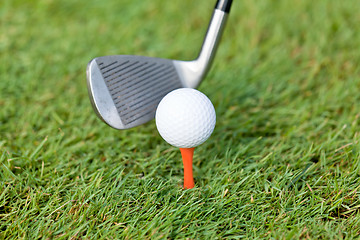 Image showing golf ball and iron on green grass detail macro summer outdoor