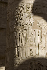 Image showing Hieroglyphics on the wall