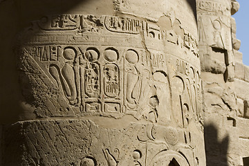 Image showing Hieroglyphics on the wall