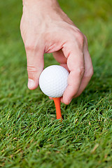 Image showing golf ball and iron on green grass detail macro summer outdoor