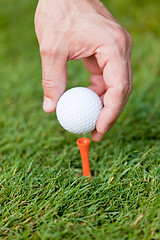 Image showing golf ball and iron on green grass detail macro summer outdoor