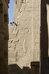 Image showing Hieroglyphics on the wall