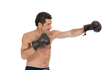 Image showing adult smiling man boxing sport gloves boxer isolated