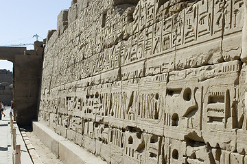 Image showing Hieroglyphics on the wall