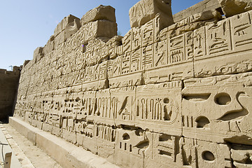 Image showing Hieroglyphics on the wall