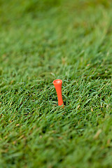 Image showing golf ball and iron on green grass detail macro summer outdoor