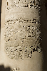 Image showing Hieroglyphics on the wall