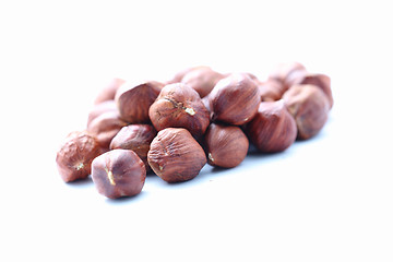 Image showing hazelnut