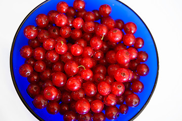 Image showing Currants in blue bowl