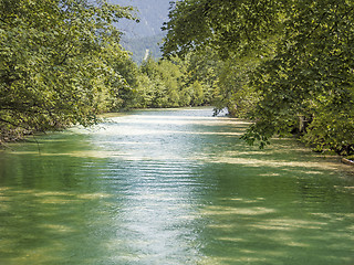 Image showing Green river with trees in summer