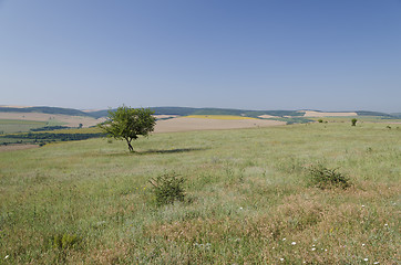 Image showing Serenity in nature