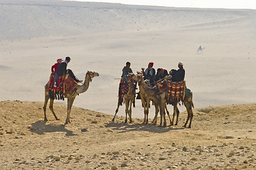 Image showing Camel ride