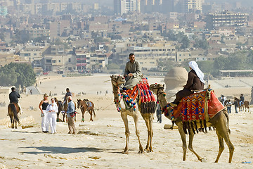 Image showing Camel ride