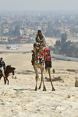 Image showing Camel ride