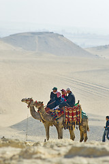 Image showing Camel ride