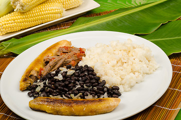 Image showing Pabellon criollo