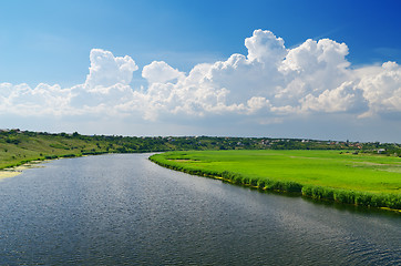 Image showing cloudy sky and river with canes
