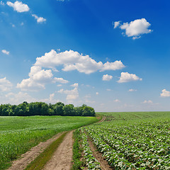 Image showing rural road in green fields and cloudy sky