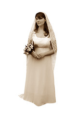 Image showing Isolated Sepia Grazing Bride