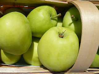 Image showing Apples