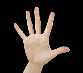 Image showing White hand on black