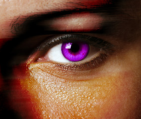 Image showing Beautiful eye 