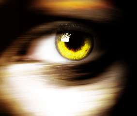 Image showing Beautiful eye 