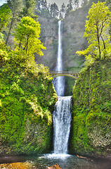 Image showing Multnomah falls and bridge in the morning sun light