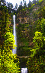 Image showing Multnomah falls and bridge in the morning sun light