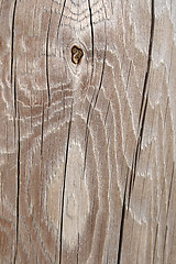 Image showing Cracked and knotty wood texture