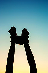 Image showing Hands tied up with rope