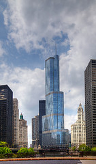 Image showing Trump International Hotel and Tower in Chicago