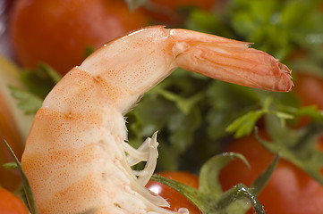 Image showing prawn