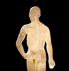 Image showing figure showing acupuncture points