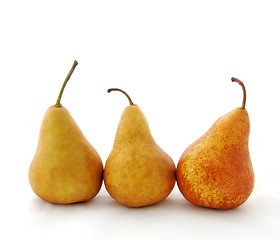 Image showing three bosc pears