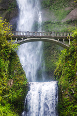 Image showing Multnomah falls and bridge in the morning sun light