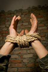 Image showing Hands of man tied up with rope