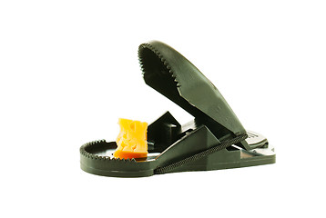 Image showing Black plastic mousetrap with bait