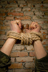 Image showing Hands tied up with rope