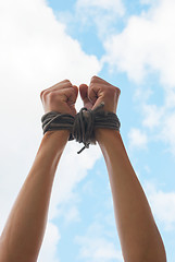 Image showing Hands tied up with rope