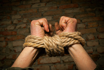 Image showing Hands of man tied up with rope