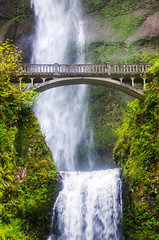 Image showing Multnomah falls and bridge in the morning sun light