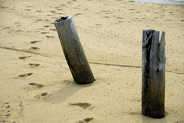 Image showing Posts on a beach