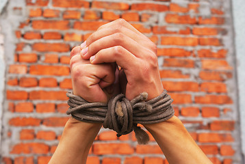 Image showing Hands tied up with rope