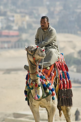 Image showing Camel ride