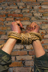 Image showing Hands tied up with rope