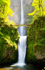 Image showing Multnomah falls and bridge in the morning sun light