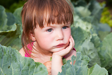 Image showing Small girl sitting in the cabbiges