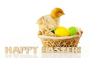 Image showing Basket with the Easter eggs and small chicken